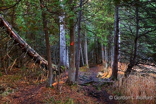 Rideau Trail_10792-3.jpg - Photographed at Ottawa, Ontario - the capital of Canada.